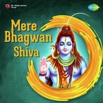 Mere Bhagwan - Shiva - Anuja Song Download